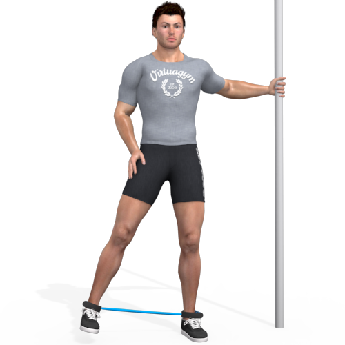 Elastics Hip Abduction Standing Video Exercise Guide