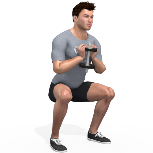 Dumbbells Goblet Squat Video Exercise Guide