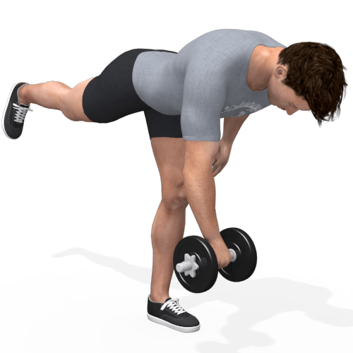 Dumbbells One Leg Deadlift Video Exercise Guide