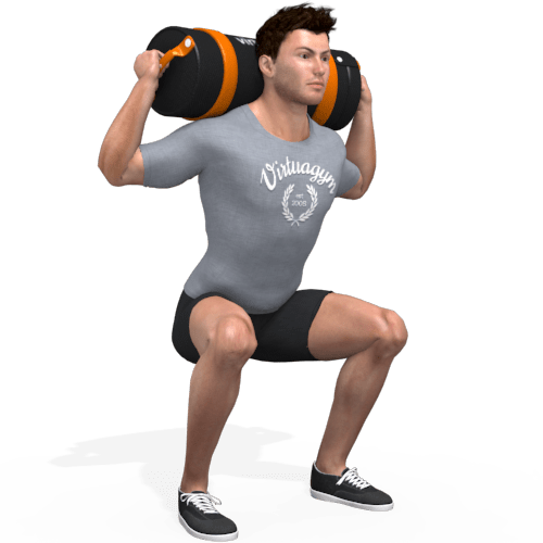 Sandbag Back Squat Video Exercise Guide