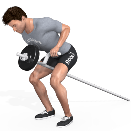 Barbell TBar Row Video Exercise Guide