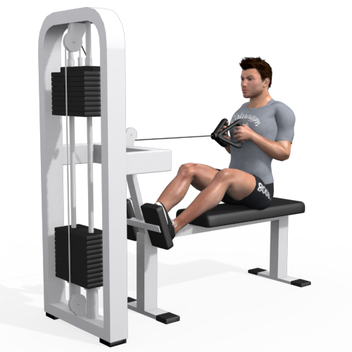 Horizontal Row Seated Video Exercise Guide