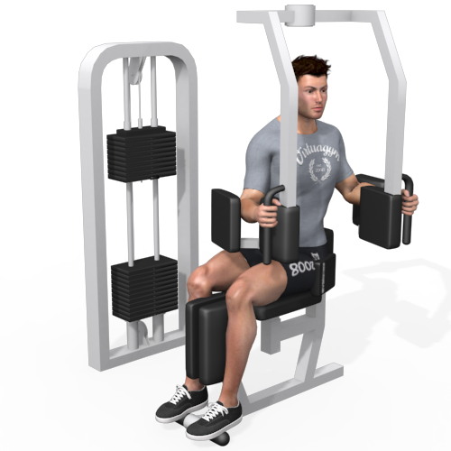 Rotary Torso Machine Video Exercise Guide