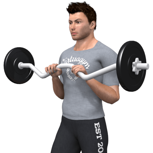 Barbell Biceps Curl Narrow Grip Standing Video Exercise Guide