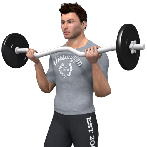 Barbell Biceps Curl Wide Grip Standing Video Exercise Guide