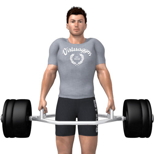 Barbell Shrugs Video Exercise Guide