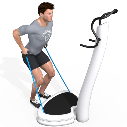 Vibration Training Bent Over Row Floor Video Exercise Guide 