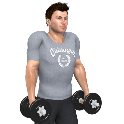 Dumbbells Jump Shrug Video Exercise Guide