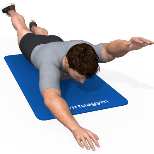 Superman Alternating Video Exercise Guide Superman Alternating Video Exercise Guide