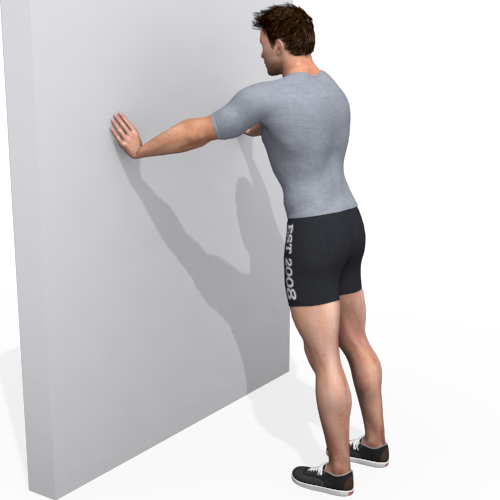 Wall Push-up Wall Video Exercise Guide