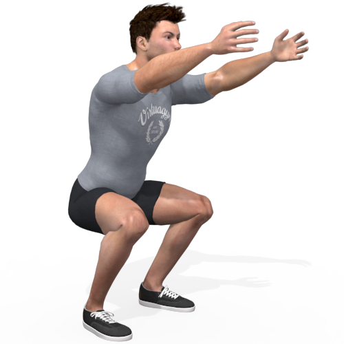 Air Squat Video Exercise Guide