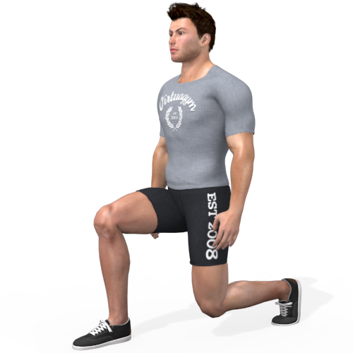 Split Squat Video Exercise Guide